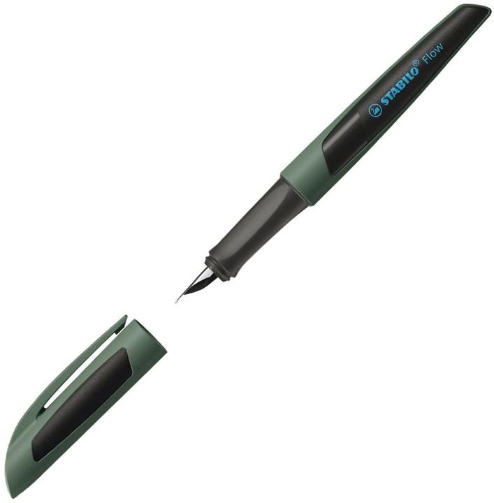 Actual product image STABILO Flow SPORTY fountain pen (Dark green, Black, 1 x)