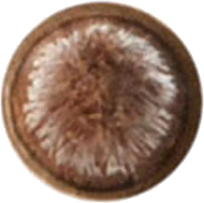 Actual product image MAC Cosmetics 209 Eye Liner Brush (Eyeliner)