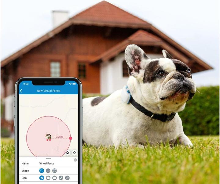 Actual product image Tractive Dog 4 GPS Tracker for Dogs (One size, Dog, General)