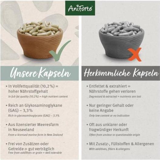 Produktbild AniForte Grünlippmuschel Kapseln (Adult, 100 Stk.)