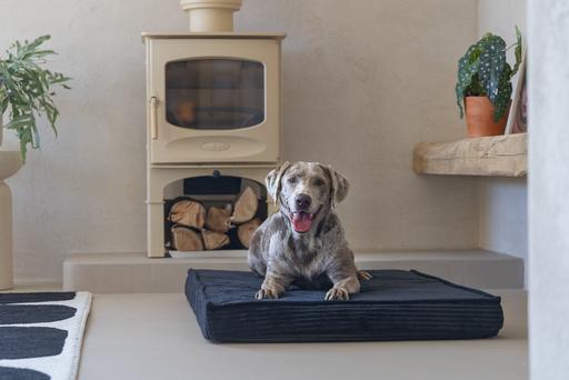 Productafbeelding Designed by Lotte Orthopedisch kooikussen Geribd (Hond)