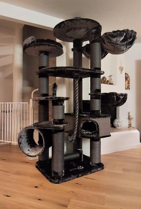 Produktbild Pet Homes Swiss Dream (255 cm, Dunkelgrau)