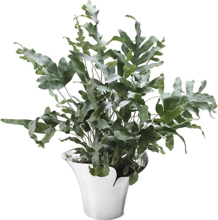 Produktbild Georg Jensen BLOOM Botanica Übertopf mittel