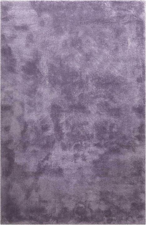 purple lilac