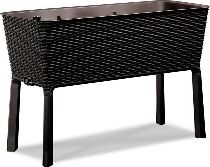 Actual product image Keter Easy Growing