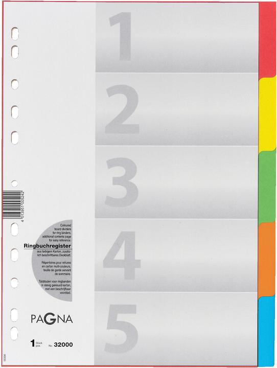 Immagine prodotto Pagna Registro di cartone per A4 - colorato