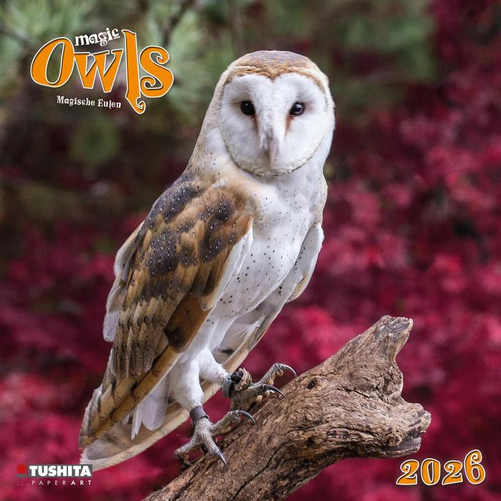 Produktbild Magic Owls 2026 (30 x 30 cm, Italienisch, Französisch, Spanisch, Tschechisch, Englisch, Niederländisch, Polnisch, Deutsch)