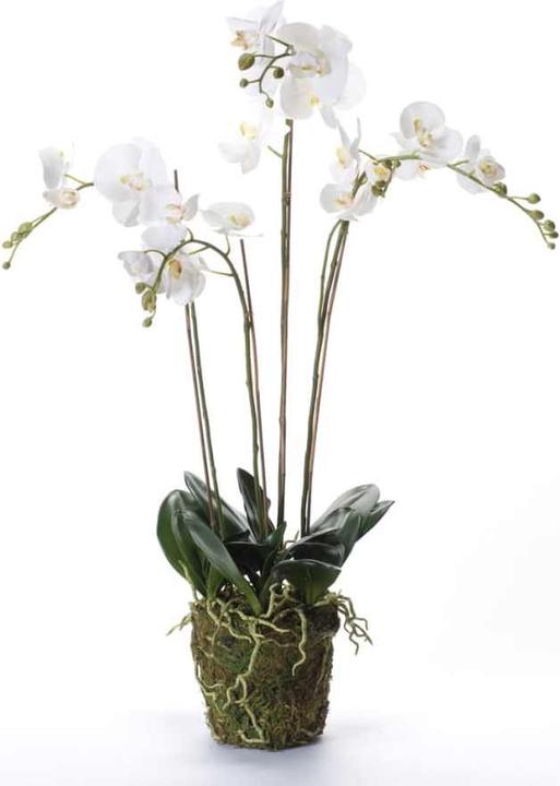 Productafbeelding Emerald Branislava (90 cm)