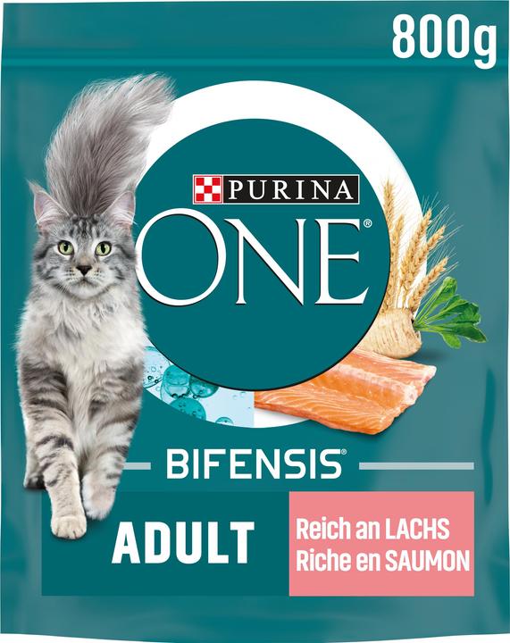 Purina ONE Saumon et farine complète (Adulte, 1 pcs, 800 g)