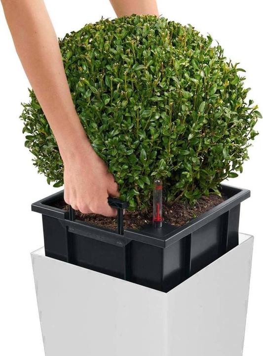 Actual product image Lechuza Cubico Alto (39.50 cm)