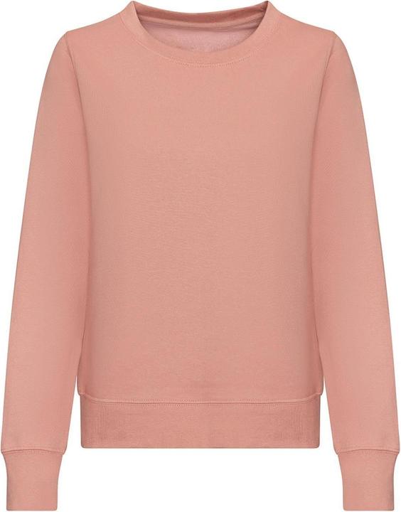 Awdis Sweatshirt (L)