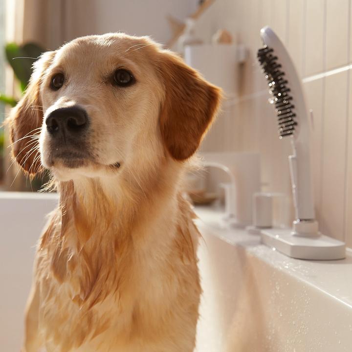 Immagine prodotto hansgrohe DogShower doccia per cani 150 3 tipi di getto Seleziona (3 Tipi di raggi, 7.60 l/min)