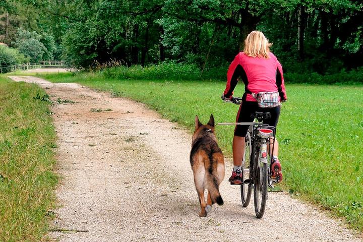Productafbeelding Walky Dog Fiets vrijloopriem (Hond, Reflectoren)