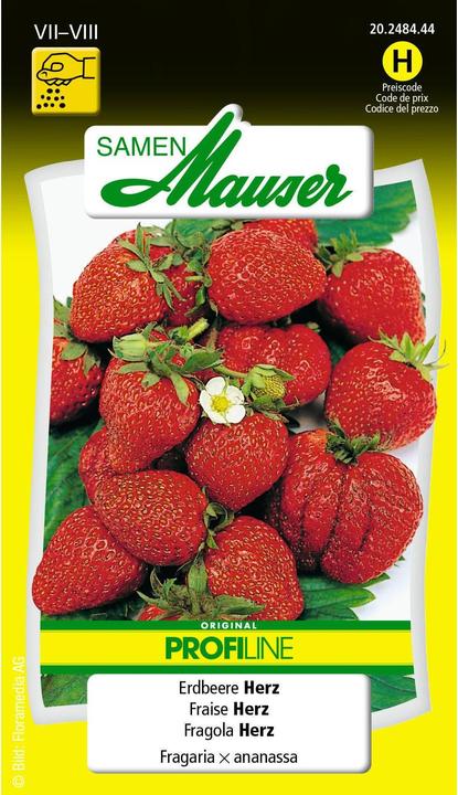 Actual product image Samen Mauser Strawberry F1 heart Profiline (Fruit seed)