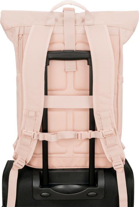 Actual product image Johnny Urban Allen (19 l)