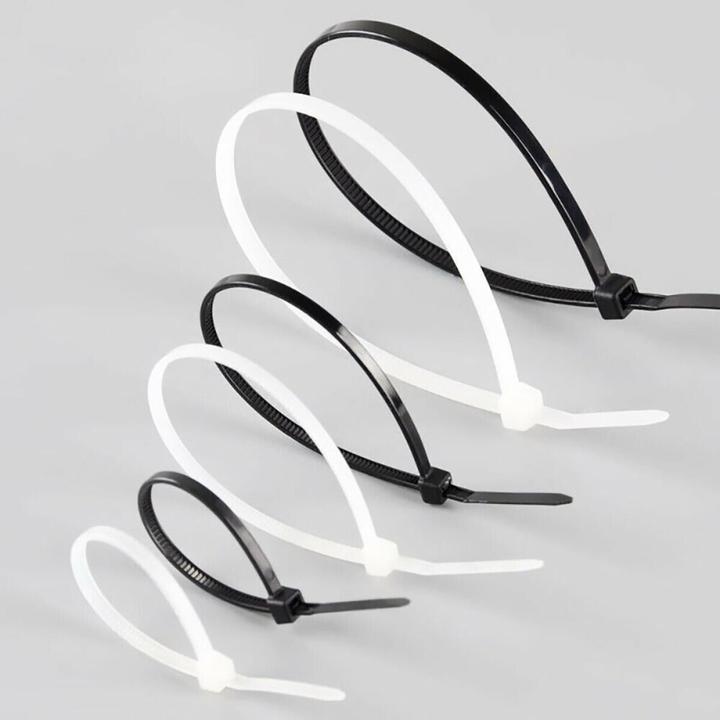 Produktbild Techly 306509 Nylon cable ties 28 (280 mm, 100 Stk.)