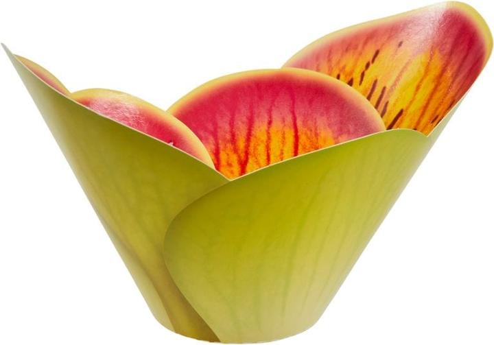 Actual product image Neocid Fly Monitor Trap
