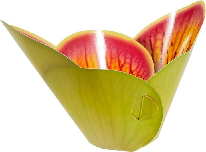 Actual product image Neocid Fly Monitor Trap