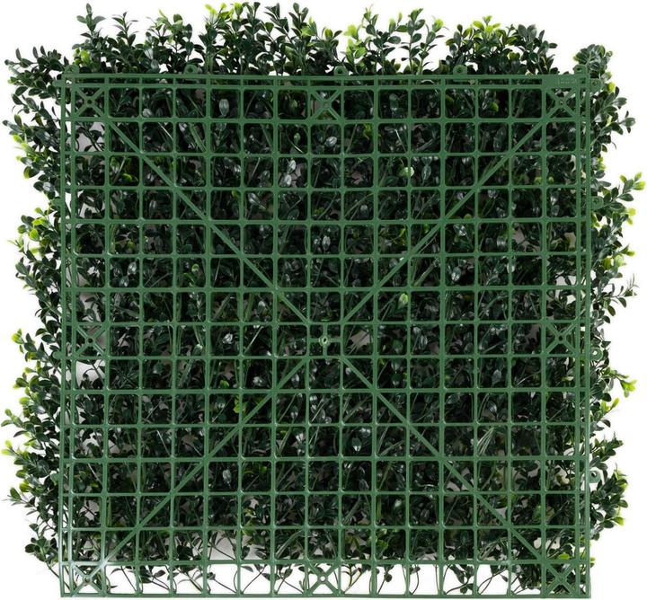 Image du produit Karat Mur de plantes Boxwood (50 cm)