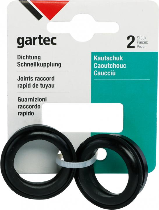 Gartec Dichtung (Aggancio)