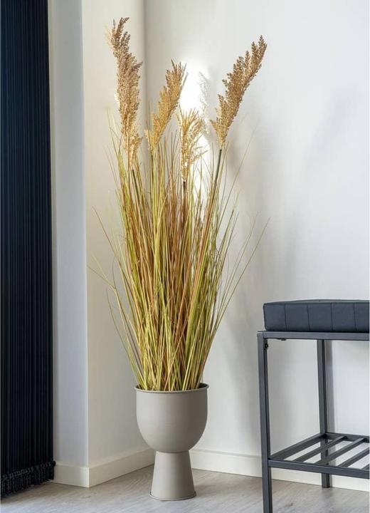 Produktbild House Nordic Sorghumgrass (110 cm)