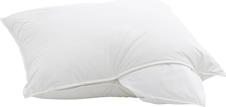 Immagine prodotto Billerbeck Casa Fibra (60 x 90 cm)