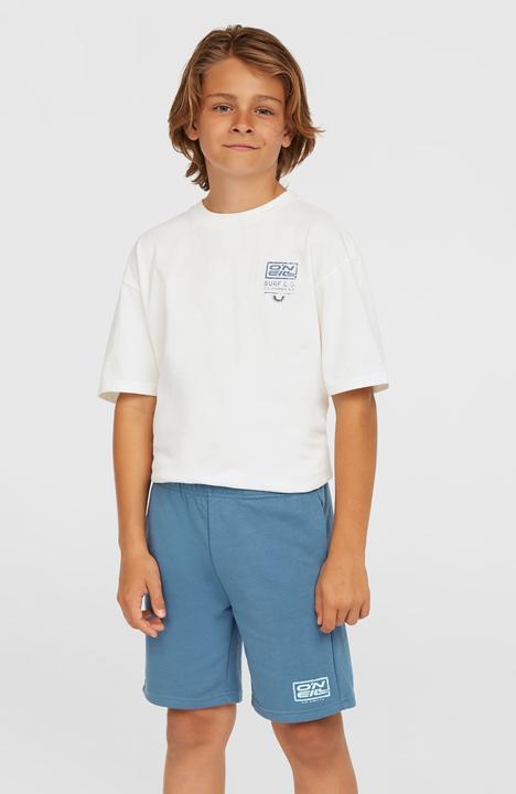 Immagine prodotto O'Neill Logo Sweatshorts (104)