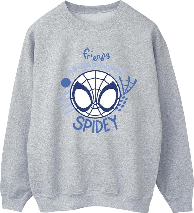 Spidey And His Amazing Friends Neighbourhood Sweatshirt (5XL)