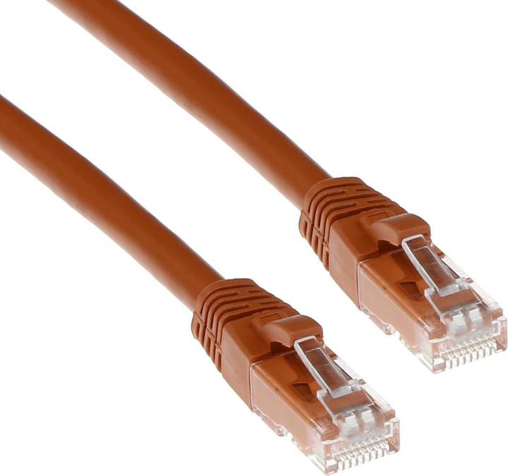 Actual product image Brown 0.5 meter U/UTP CAT6 patch cable snagless with RJ45 connectors. Cat6 u/utp snagless bn 0.50m (U/UTP, CAT6, 0.50 m)