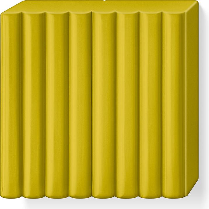 Image du produit Fimo Pâte à modeler Soft Trend algues 57gr.