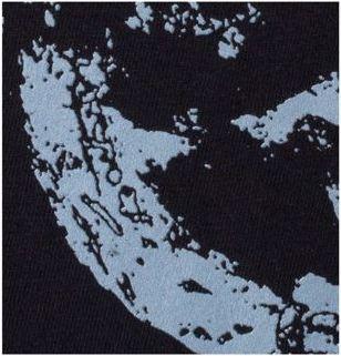 Produktbild Welcome Bird Brain Garment-Dyed T-Shirt (XL)