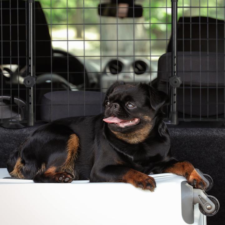Produktbild Relaxdays Hundegitter Auto (Hund, Reflektoren)