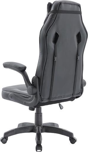 Actual product image Raptor Gaming Chair GS-50 PU /black
