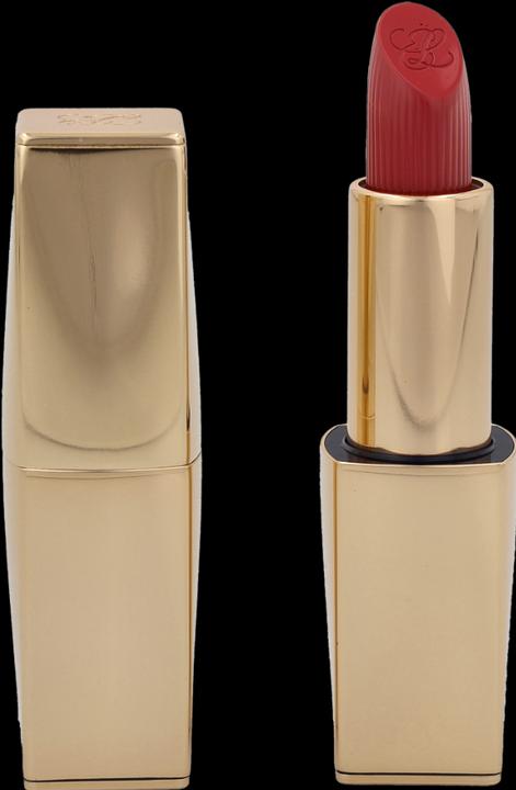 Image du produit Estée Lauder Pure Color (410 - Dynamique)