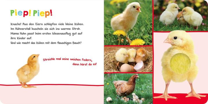 Produktbild Hör mal rein, wer kann das sein? - Im Frühling (Deutsch, 2021)