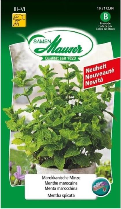 Produktbild Samen Mauser Marokkanische Minze (Pflanzensamen)