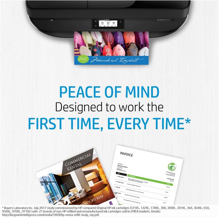 Produktbild HP Advanced Photo Paper 10 Blatt (250 g/m², 101 x 305 mm, 10 x)