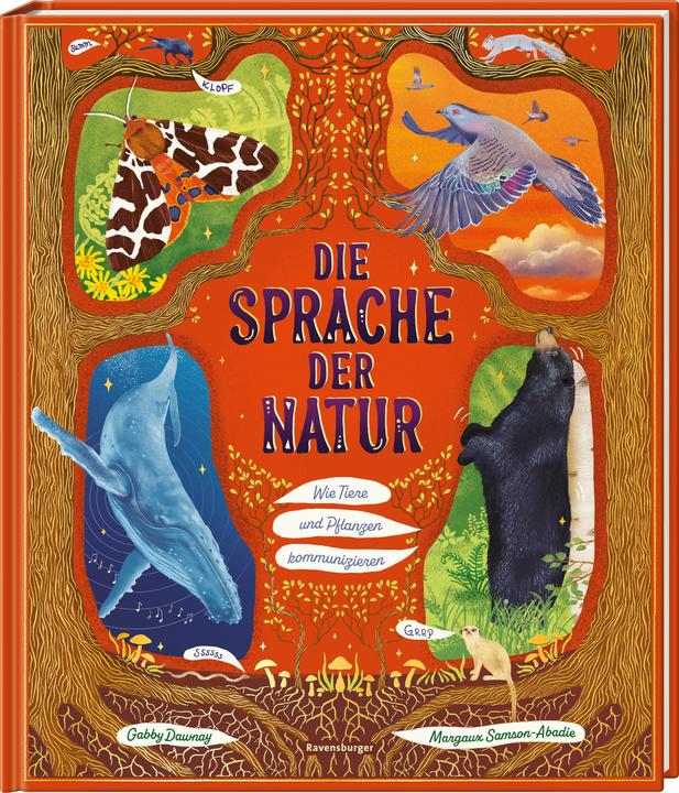 Actual product image Ravensburger Die Sprache der Natur - ein Sachbuch über Tiere und Pflanzen für Kinder ab 4 Jahre 48 zauberhafte (German, Gabby Dawnay, Karin Ehrhardt, Margaux Samson Abadie, 2025)