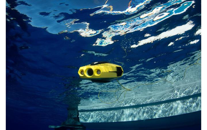 Image du produit Chasing Dory