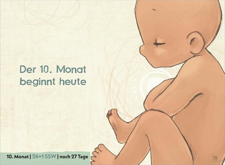 Produktbild Deine Schwangerschaft Tag für Tag (Deutsch, Christine Rickhoff, 2025)