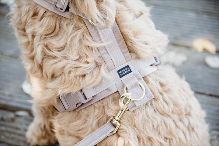 Produktbild Kentucky Dogwear Hundeleine Velvet (L, Hund, Hundesport)