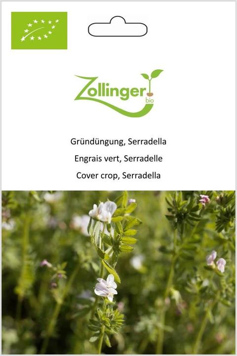 Image du produit Zollinger Bio Engrais vert, serradelle (Graines de plantes)