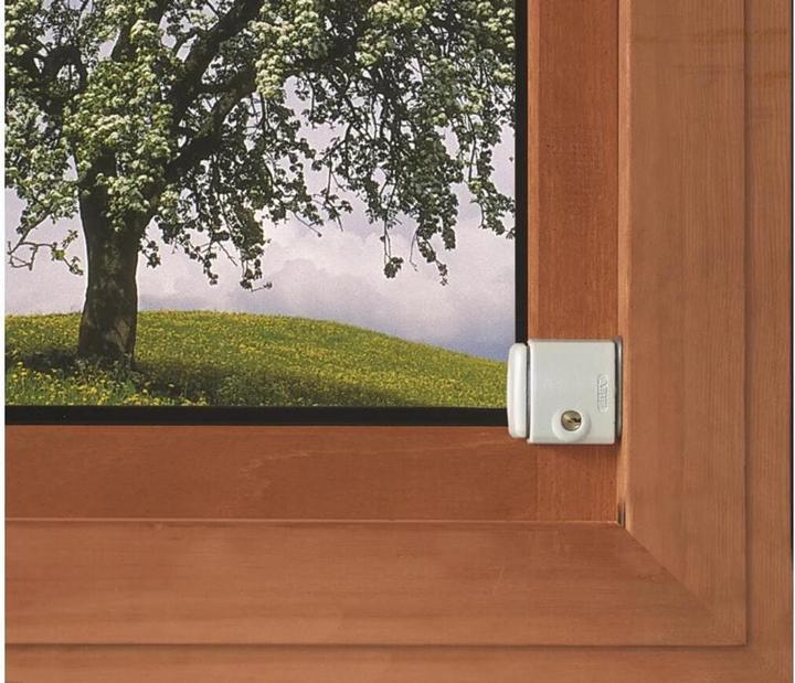 Image du produit Abus FTS3002 W CL/DFNLI