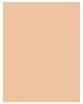 Actual product image MAC Cosmetics Studio Waterweight (No. NC25)