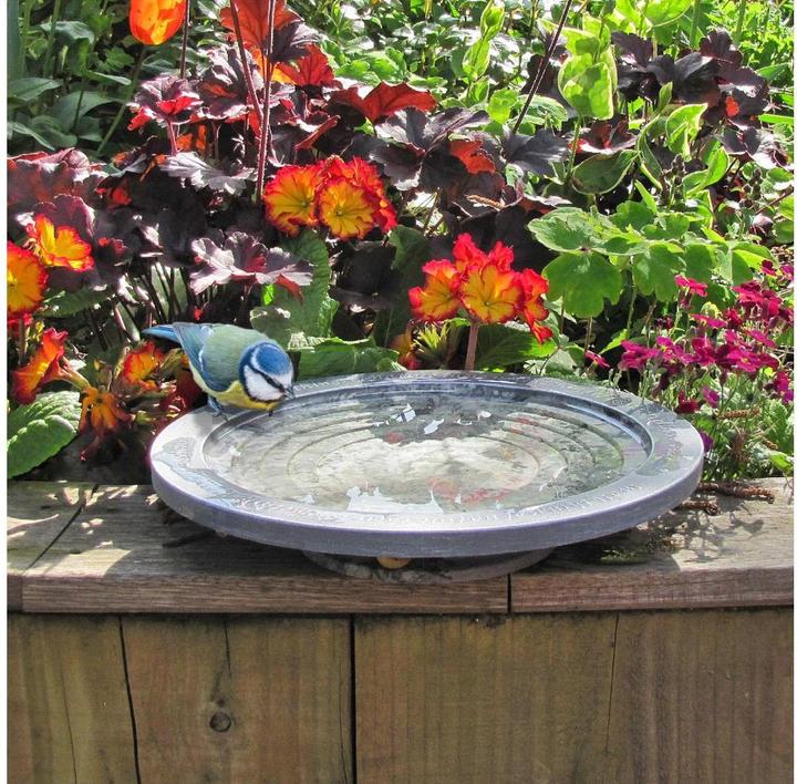 Actual product image Wildlife World Oasis