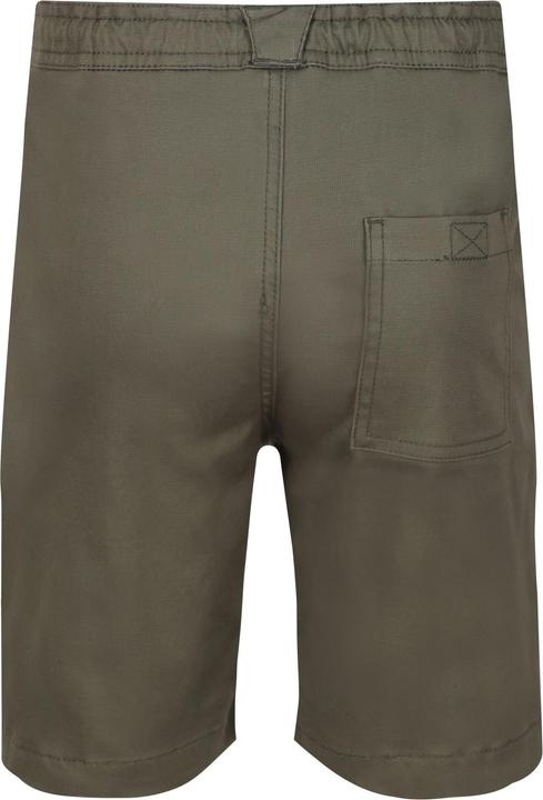 Actual product image Regatta Alber Shorts (146)