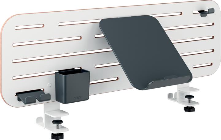 Leitz Pegboard-Schreibtisch-Organizer