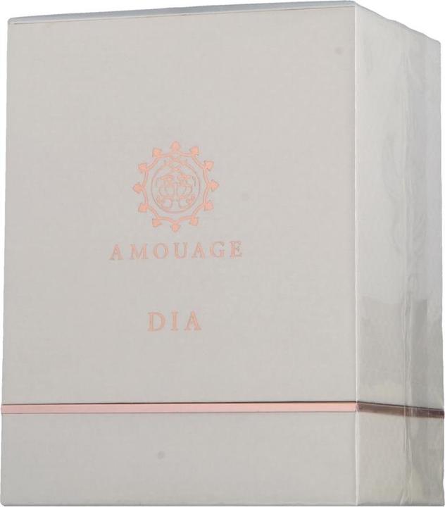Actual product image Amouage Slide (Eau de parfum, 100 ml)