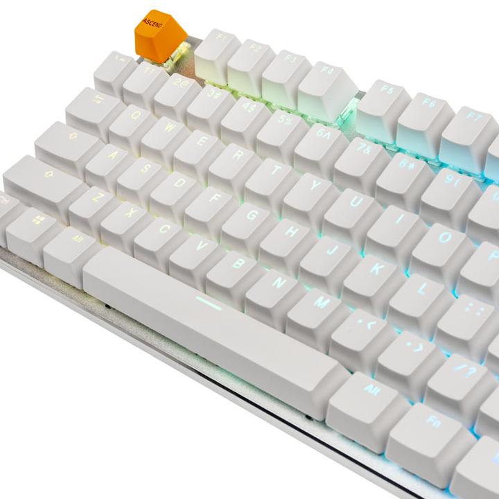 Image du produit Glorious PC Gaming Race GMMK TKL White Ice Edition (US, Filaire)