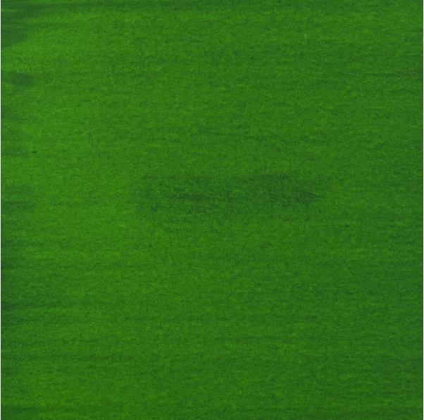 Image du produit Talens Encre acrylique Amsterdam 30 ml (Vert, 30 ml)
